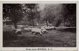 norman-martin-north-carolina-nc-winton-0001.jpg, Winton, North Carolina : norman-martin-north-carolina-nc-winton-0001.jpg [12133-1320206]
