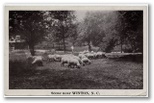 norman-martin-north-carolina-nc-winton-0001.jpg, Winton, North Carolina: norman-martin-north-carolina-nc-winton-0001.jpg [12133-1320206]